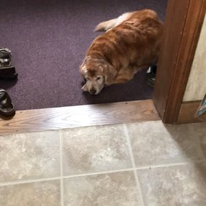 Meet your Posher, Matt